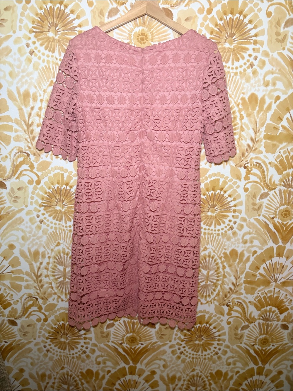 Sandra Darren Dusty Rose Lace Dress | Elegant Cocktail Wedding Guest Shift Dress - Picture 6 of 11